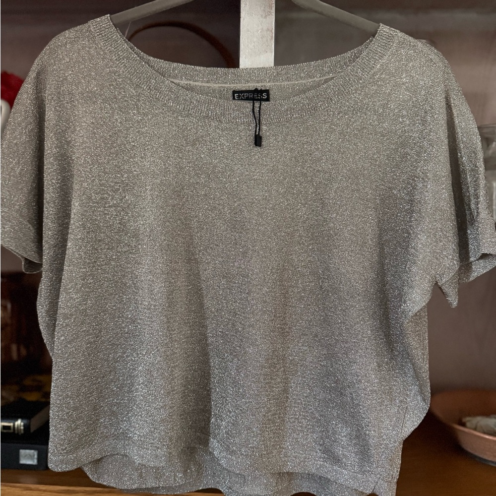 Express Women's Short Sleeve sheer metallic layering top